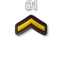r1