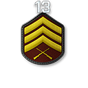 r13