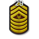 r29