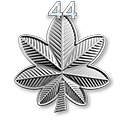 r44