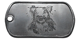 Battlefield 4 Erweiterungspack “Naval Strike” 25 dogtag NS 008