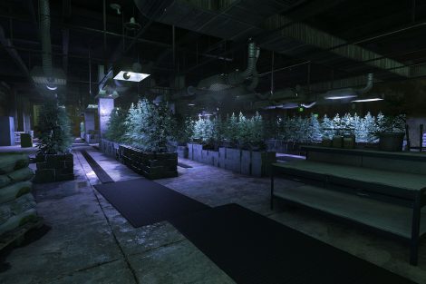 BFH Growhouse 003